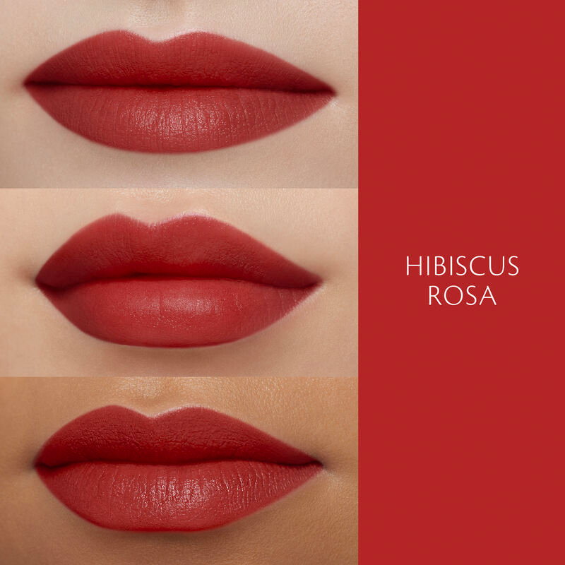 113/ Hibiscus Rosa